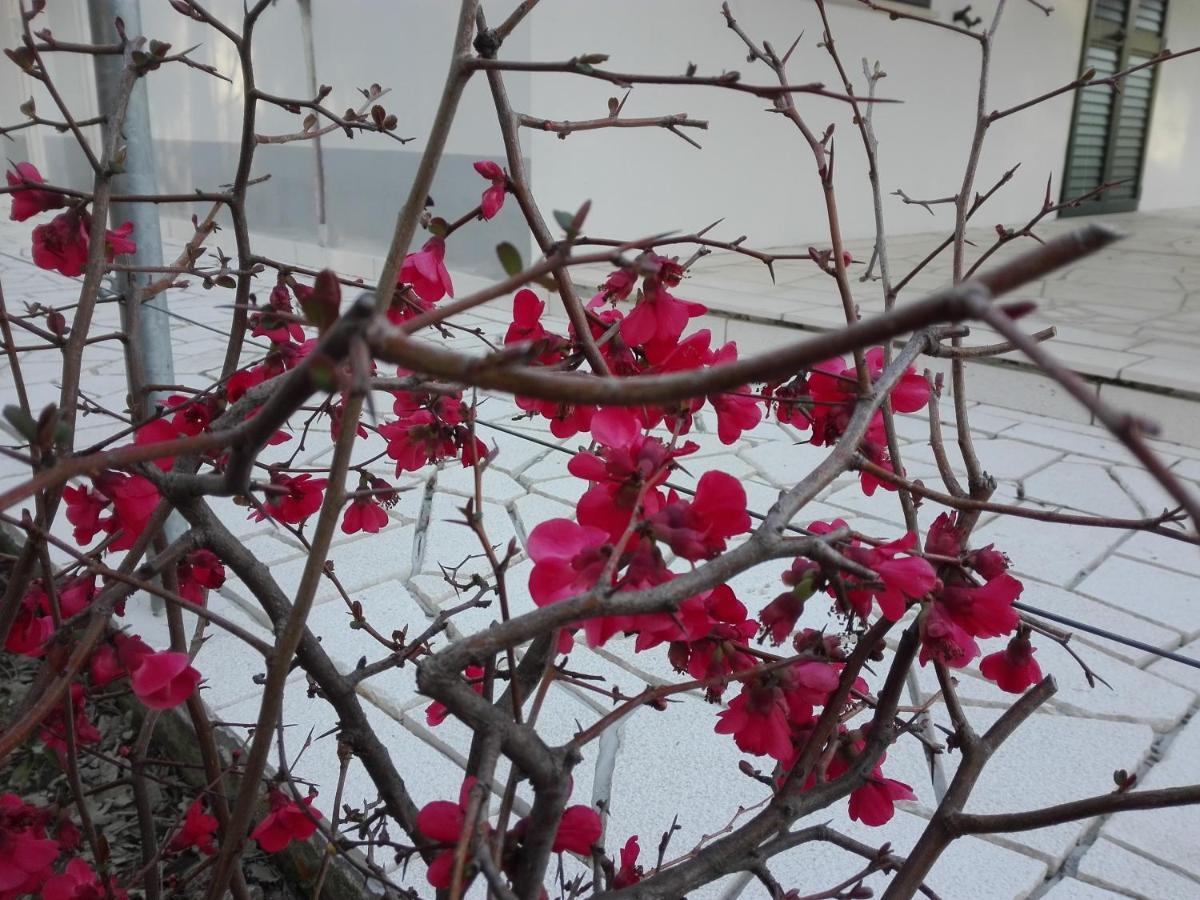 Vila Kuca Za Odmor Maka Kučiće Exteriér fotografie
