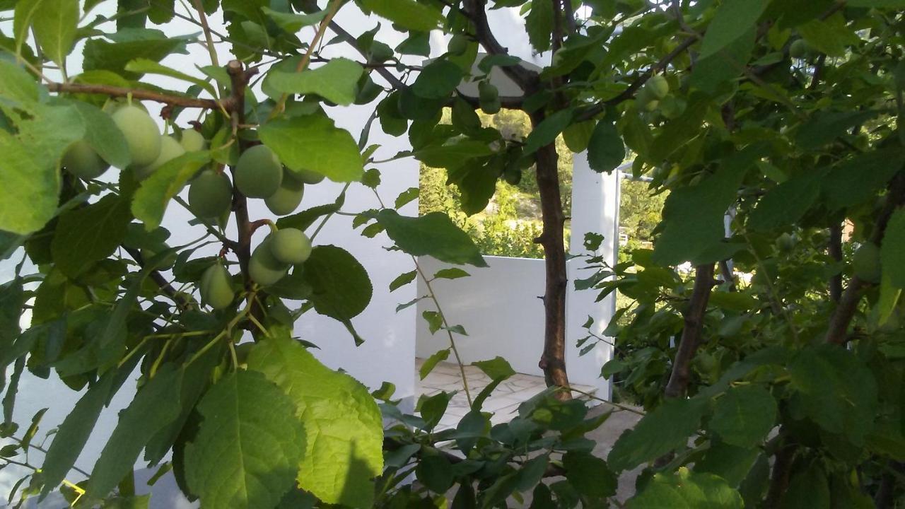Vila Kuca Za Odmor Maka Kučiće Exteriér fotografie