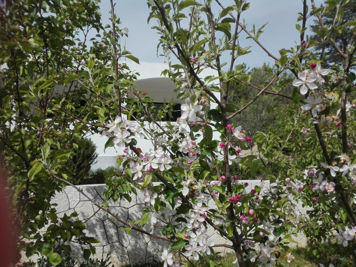 Vila Kuca Za Odmor Maka Kučiće Exteriér fotografie