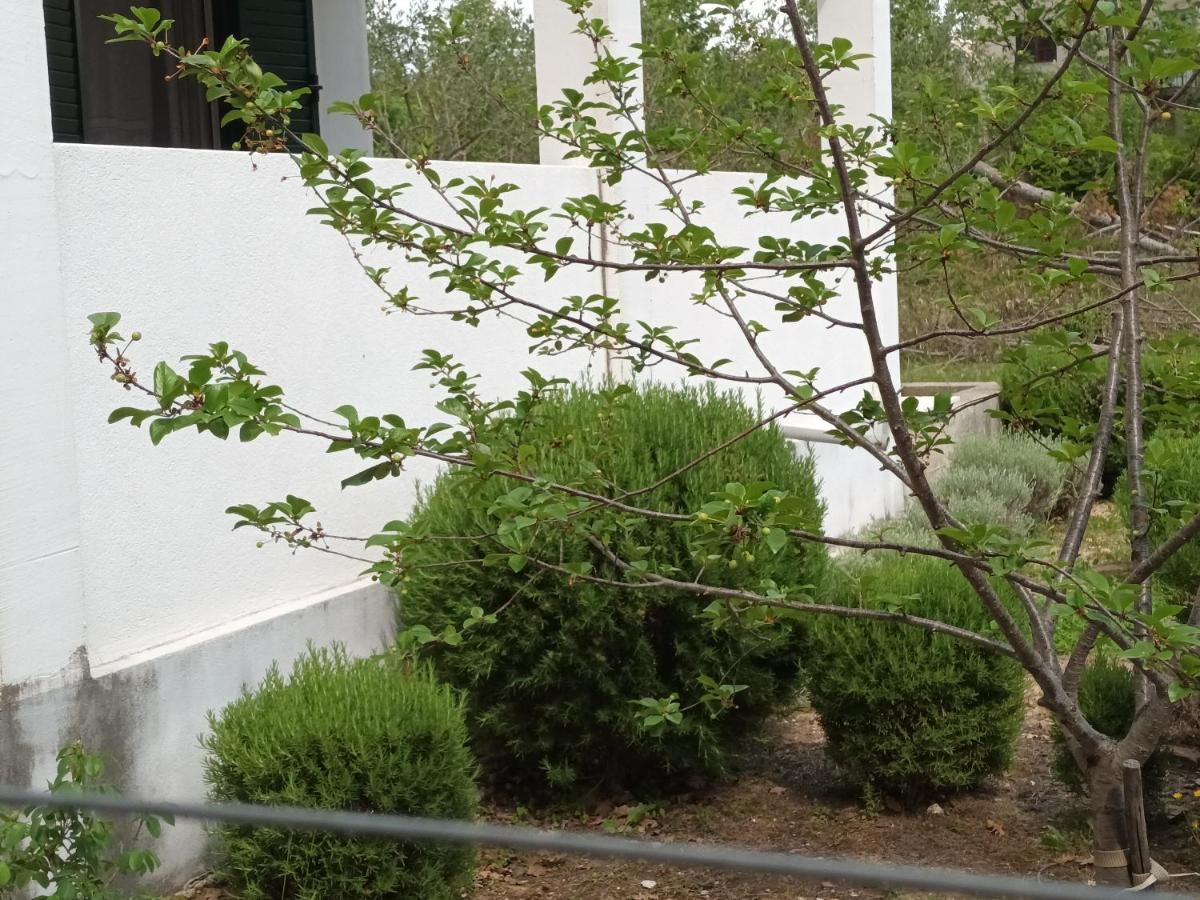 Vila Kuca Za Odmor Maka Kučiće Exteriér fotografie
